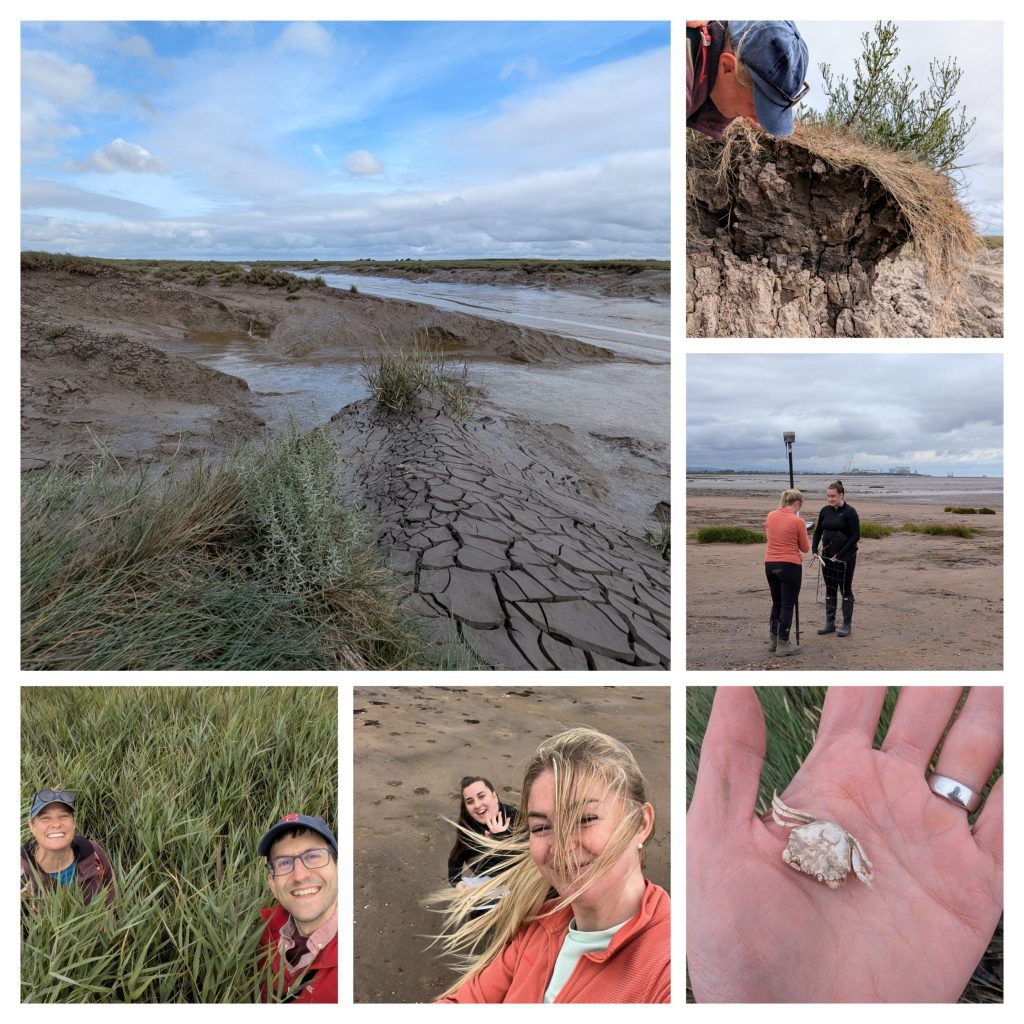 A collage of the MMU research team at Steart Marshes