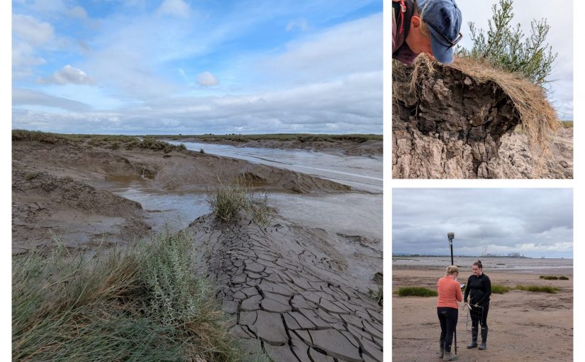 A collage of the MMU research team at Steart Marshes